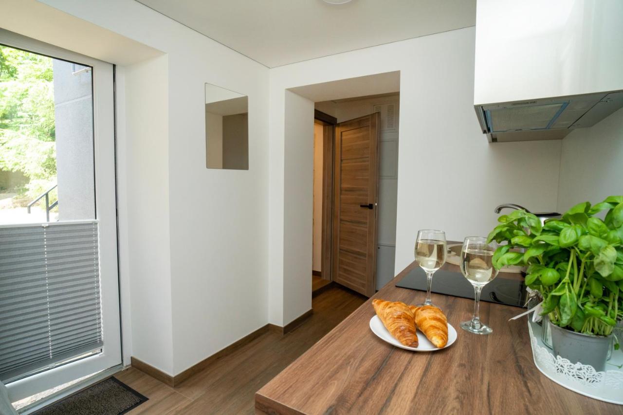 Downhill Apartment On The Groundfloor Каунас Екстериор снимка